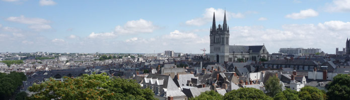 Le cabinet de recrutement Capital Ressources est spécialiste du recrutement de commerciaux à Paris et partout en France