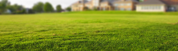 Recrutez vos commerciaux dans l'immobilier avec le cabinet de recrutement Capital Ressources